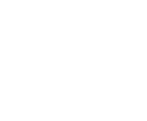 Archaudit-white